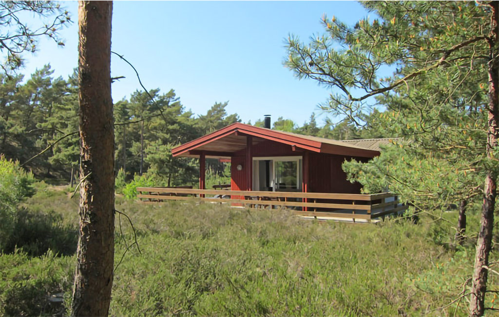 Ferienhaus - Dueodde , Dänemark - I62868 15