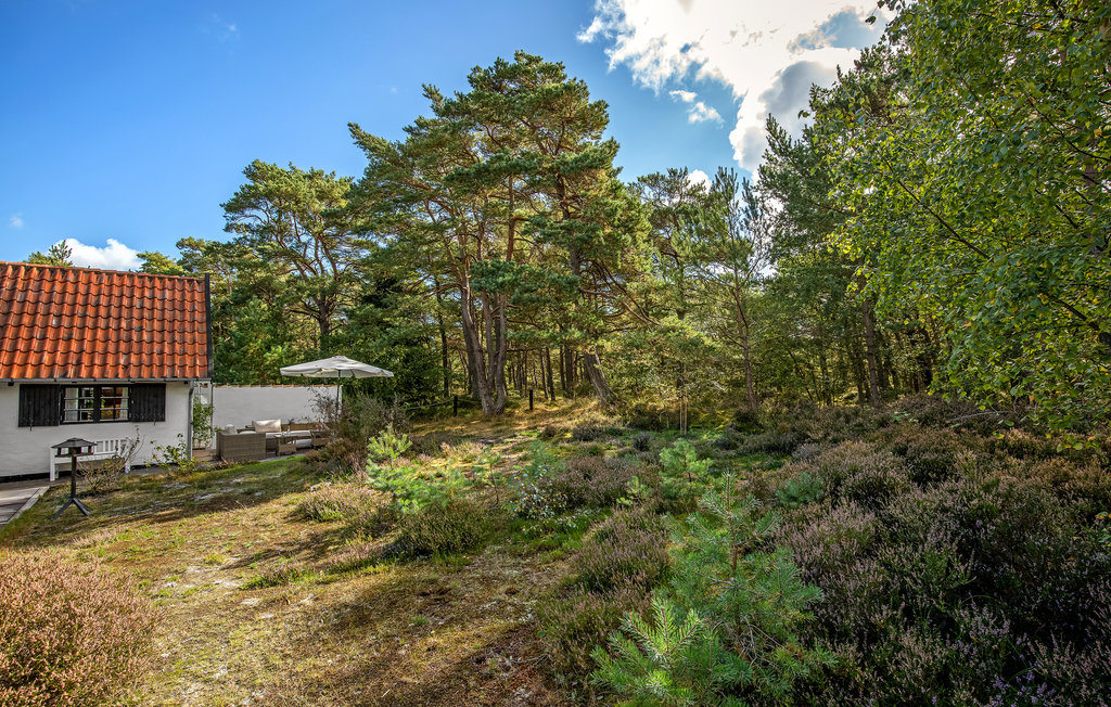 Ferienhaus - Dueodde , Dänemark - I62880 16