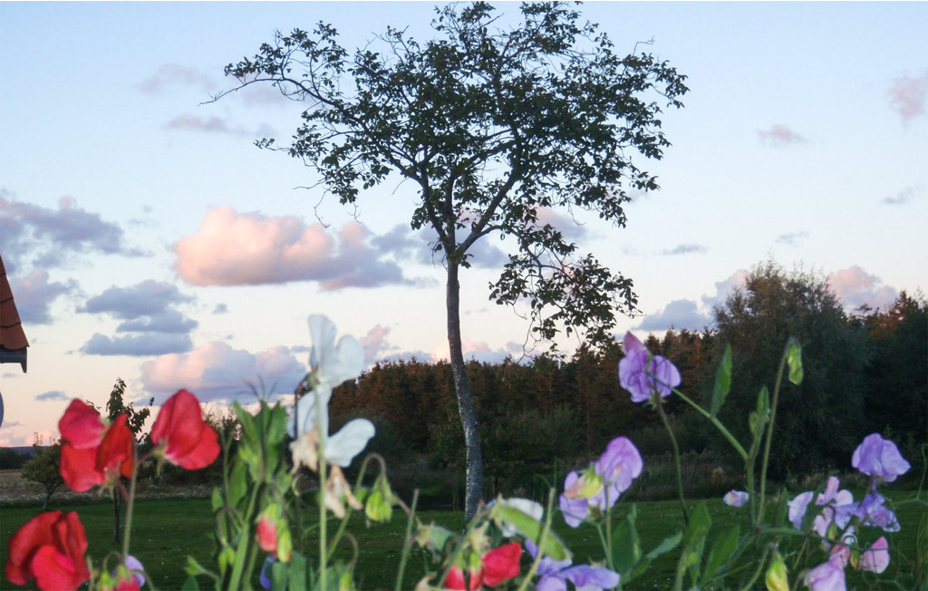 Ferieleilighet - Dueodde , Danmark - I62869 28
