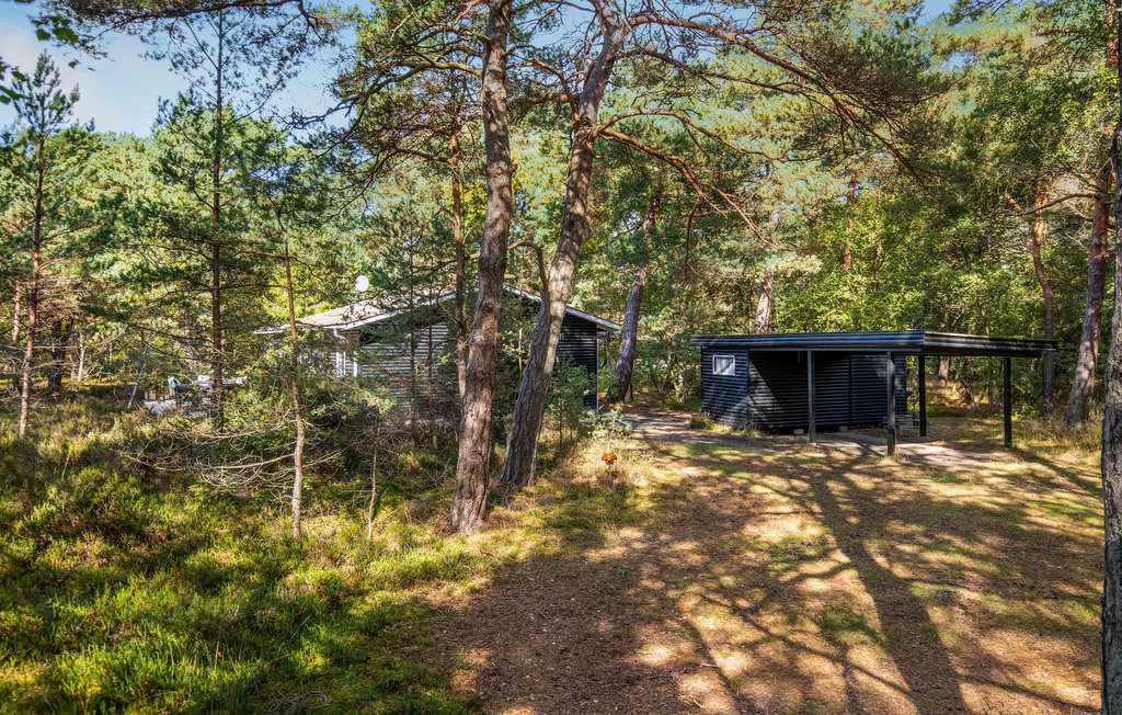 Feriehus - Dueodde , Danmark - I62844 9