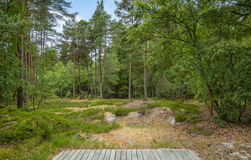 Ferienhaus - Dueodde , Dänemark - I62845 15