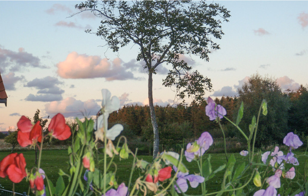 Ferienwohnung - Dueodde , Dänemark - I62871 22