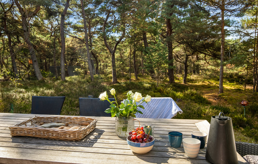 Feriehus - Dueodde , Danmark - I62844 13