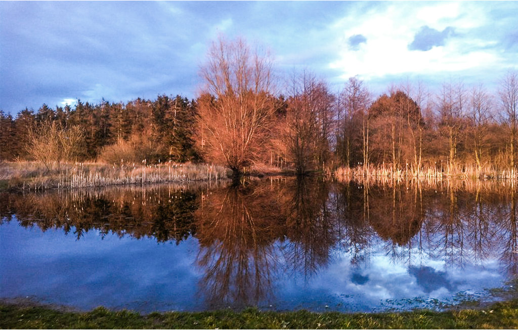 Ferieleilighet - Dueodde , Danmark - I62869 31