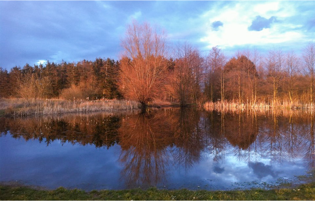 Ferienwohnung - Dueodde , Dänemark - I62871 24