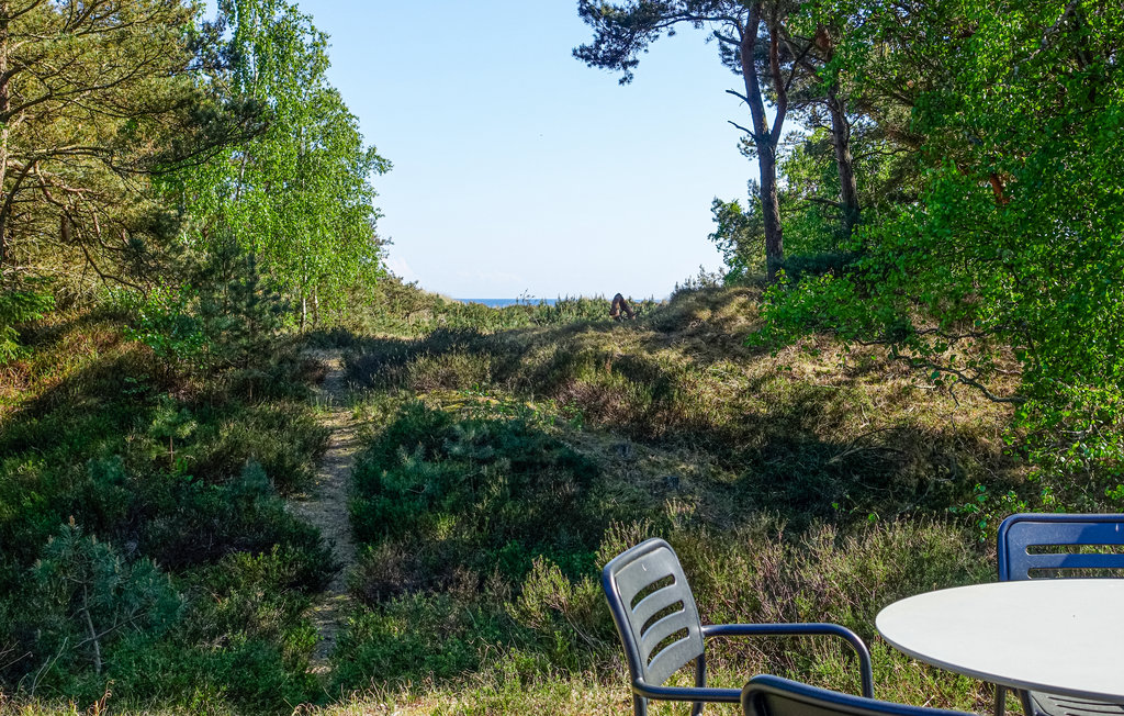 Feriehuse - Dueodde , Danmark - I62804 11