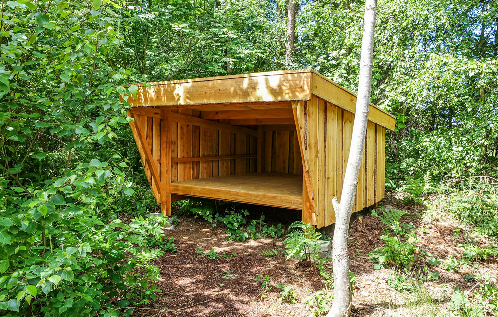 Semesterhus - Dueodde , Danmark - I62864 14