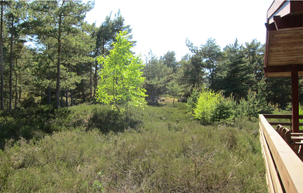 Ferienhaus - Dueodde , Dänemark - I62868 14
