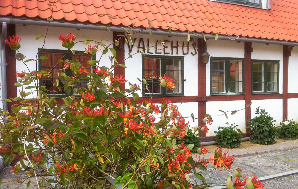 Ferieleilighet - Dueodde , Danmark - I62869 26