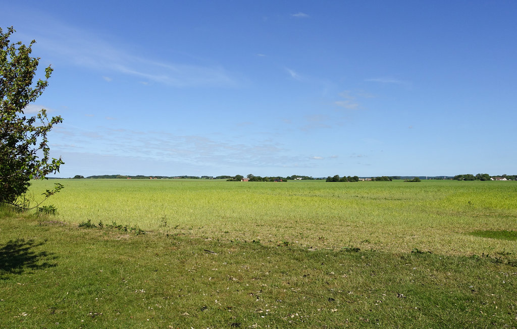 Ferienwohnung - Dueodde , Dänemark - I62871 19
