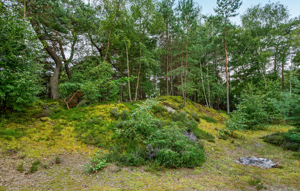 Feriehus - Dueodde , Danmark - I62792 13