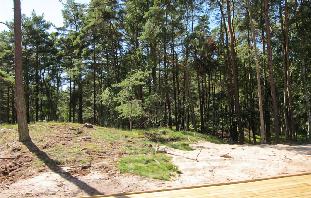 Feriehus - Dueodde , Danmark - I62823 14