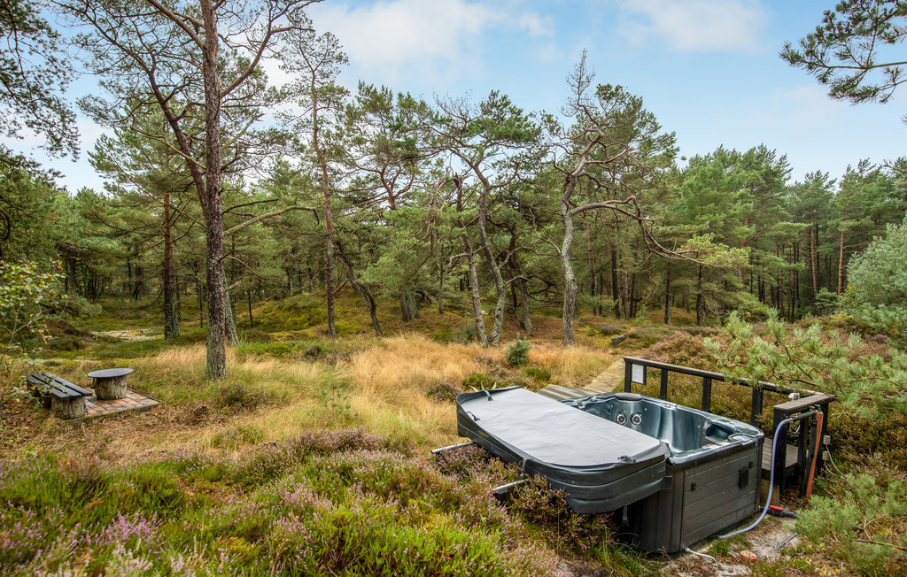 Feriehuse - Dueodde , Danmark - I62836 17