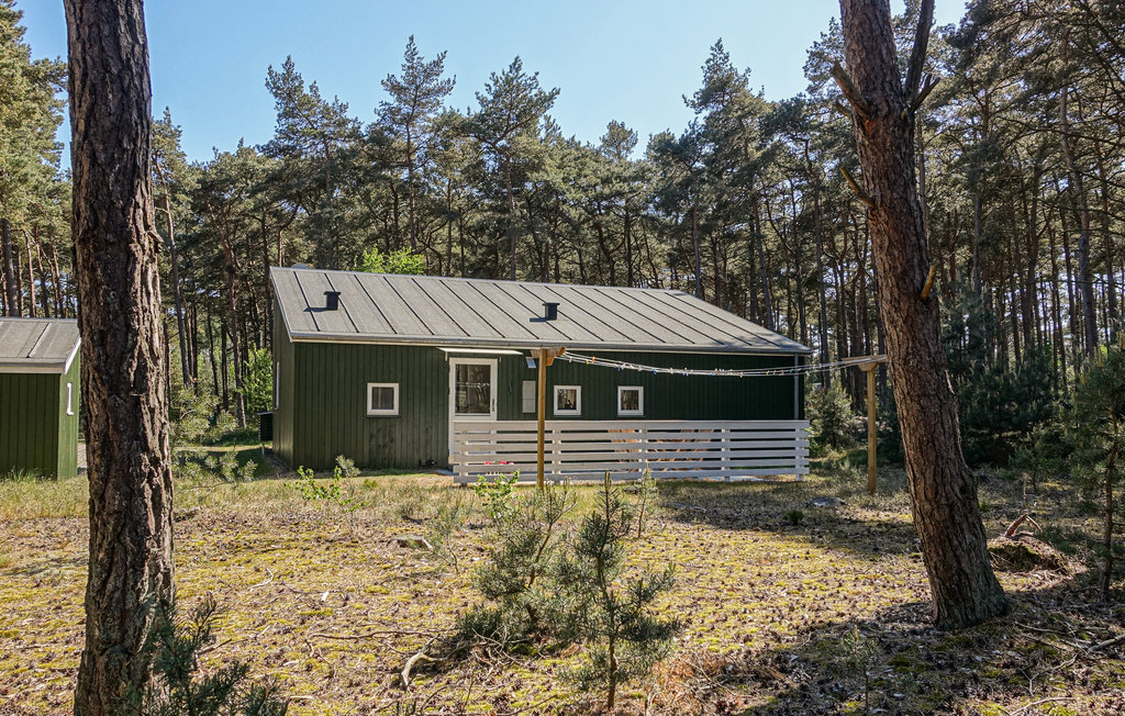 Feriehus - Dueodde , Danmark - I62824 10