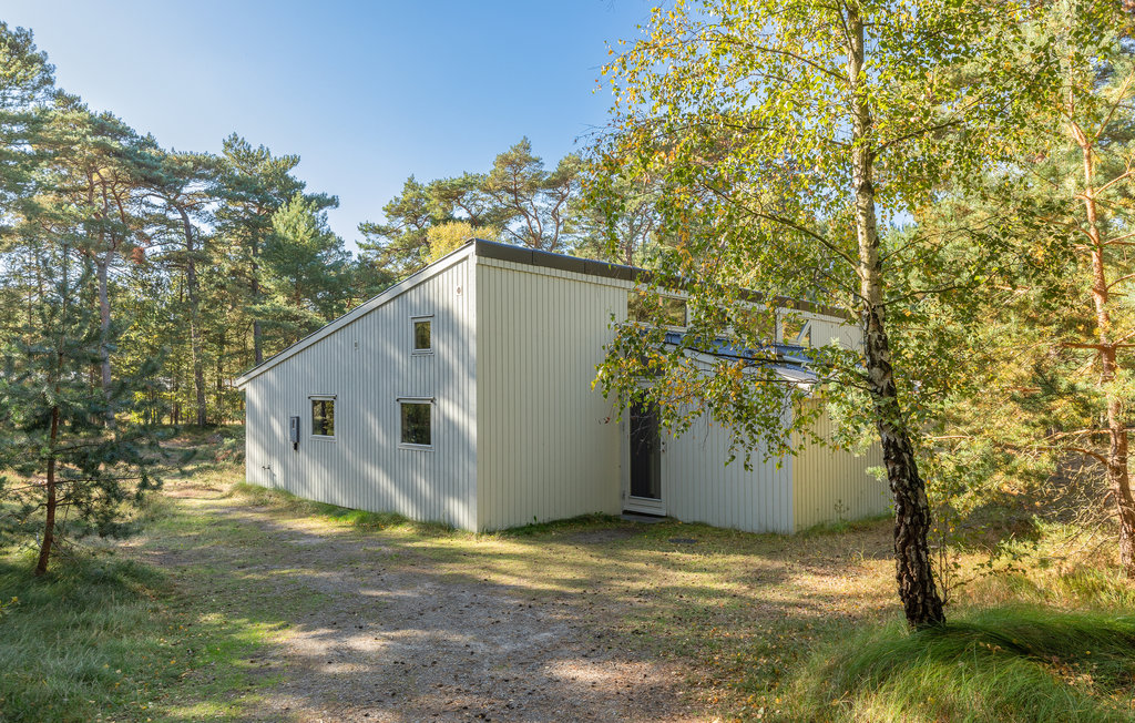 Feriehus - Dueodde , Danmark - I62828 12