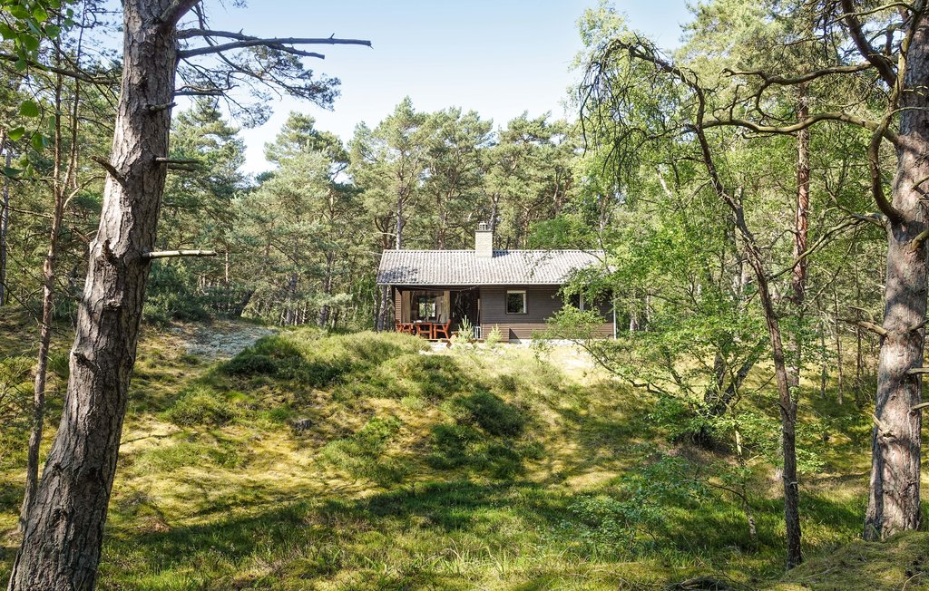 Semesterhus - Dueodde , Danmark - I62808 9