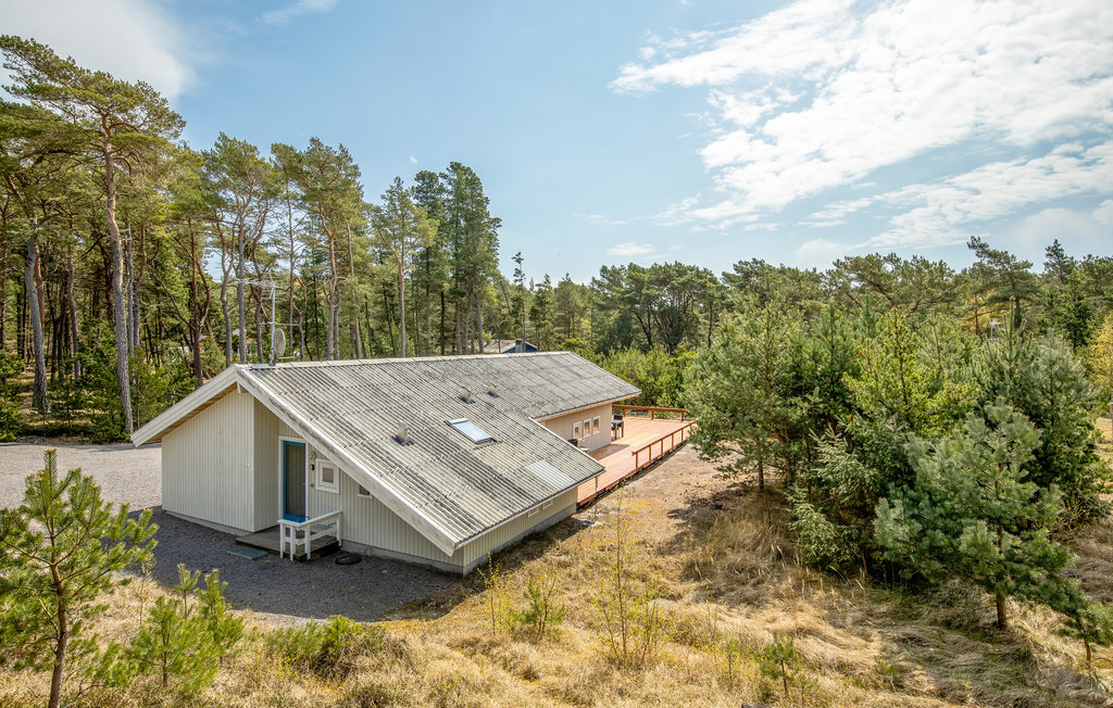 Feriehus - Dueodde , Danmark - I62830 10