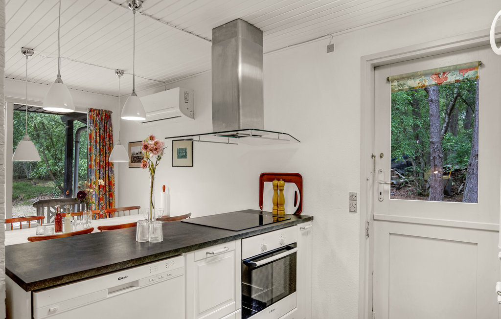 Ferienhaus - Dueodde , Dänemark - I62845 6