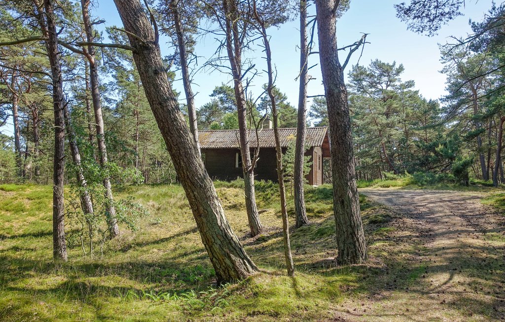 Semesterhus - Dueodde , Danmark - I62808 10