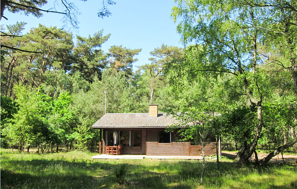 Feriehus - Dueodde , Danmark - I62811 8