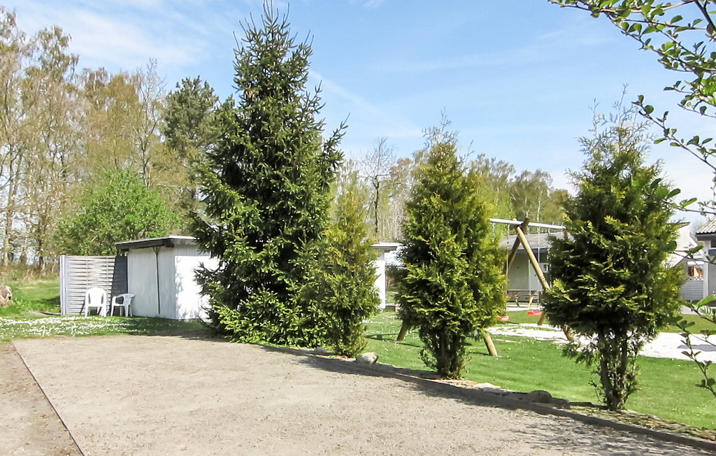 Ferienwohnung - Dueodde , Dänemark - I62912 15