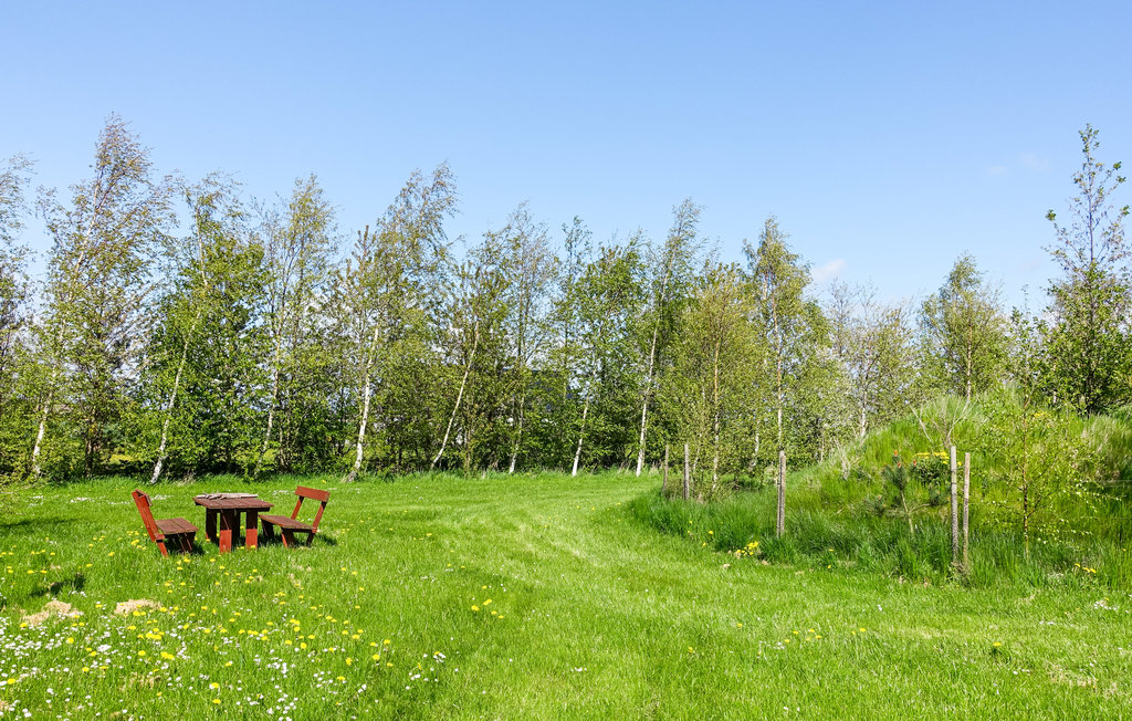 Ferienhaus - Dueodde , Dänemark - I62895 8