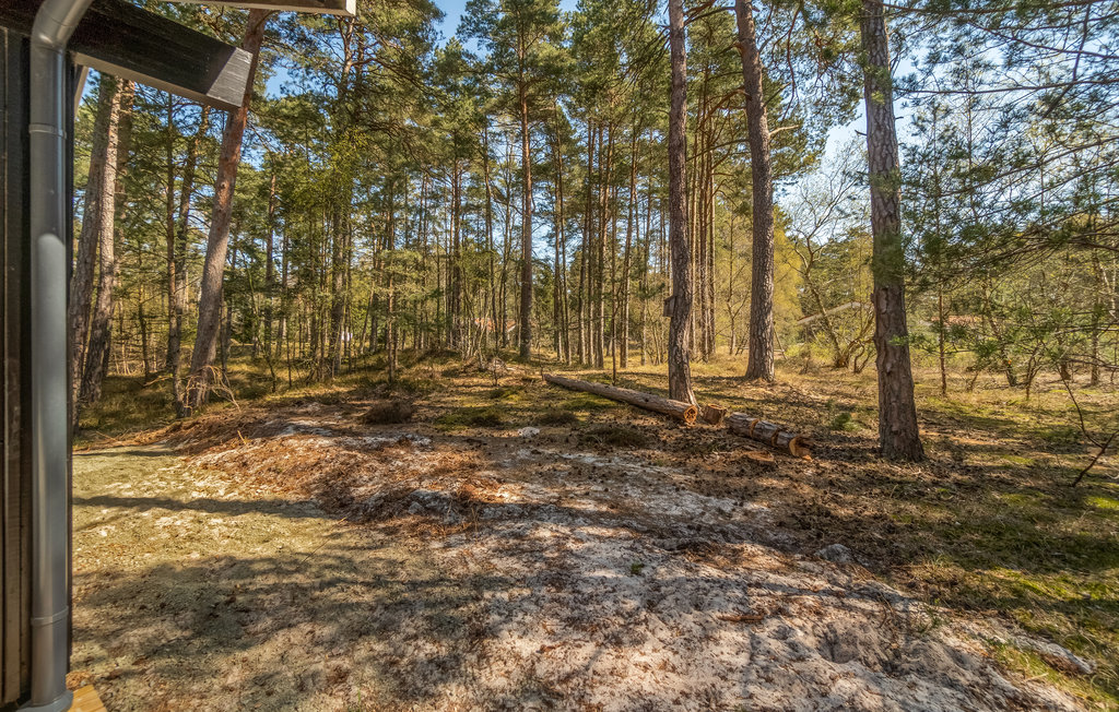 Ferienhaus - Dueodde , Dänemark - I62810 8
