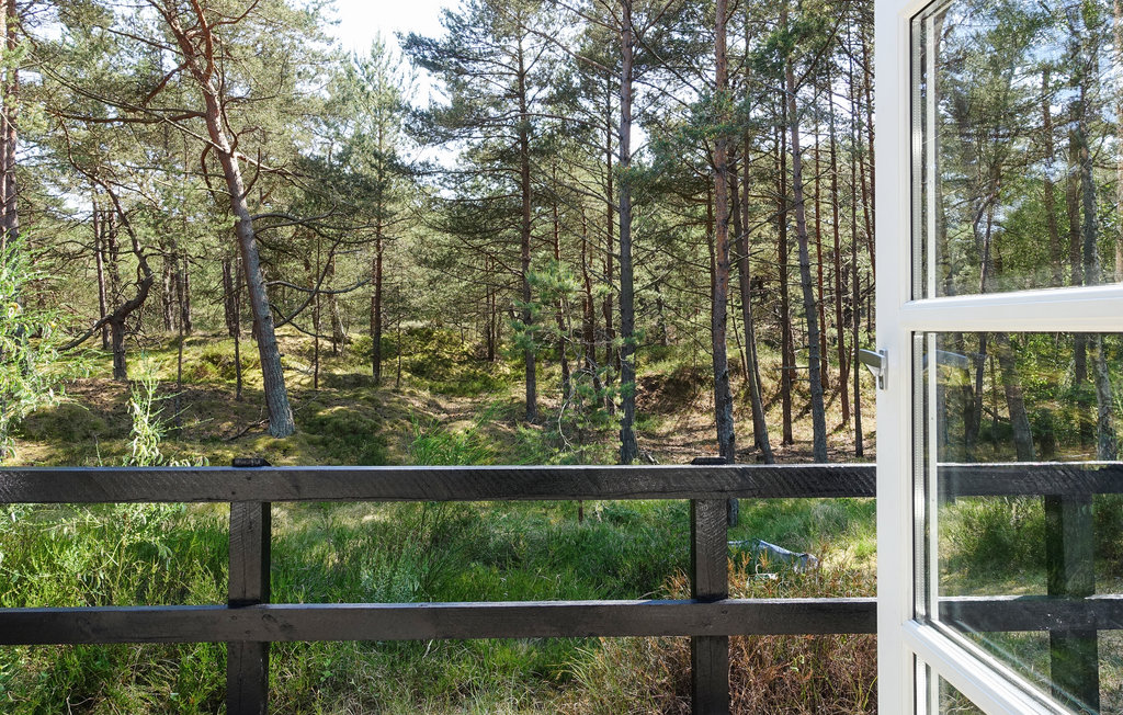 Feriehus - Dueodde , Danmark - I62876 16