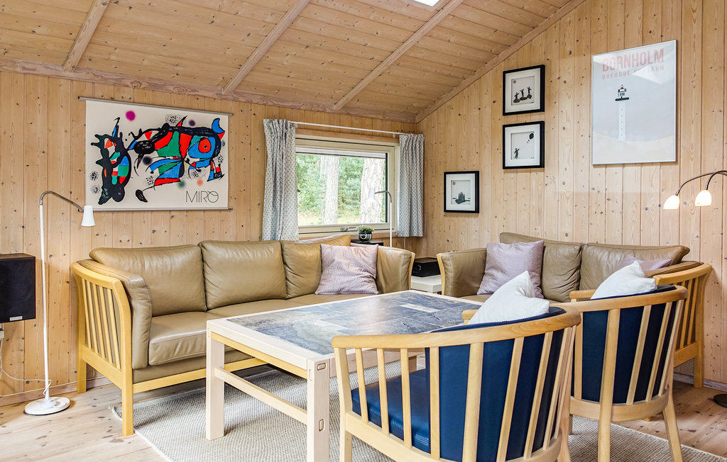 Ferienhaus - Dueodde , Dänemark - I62806 2