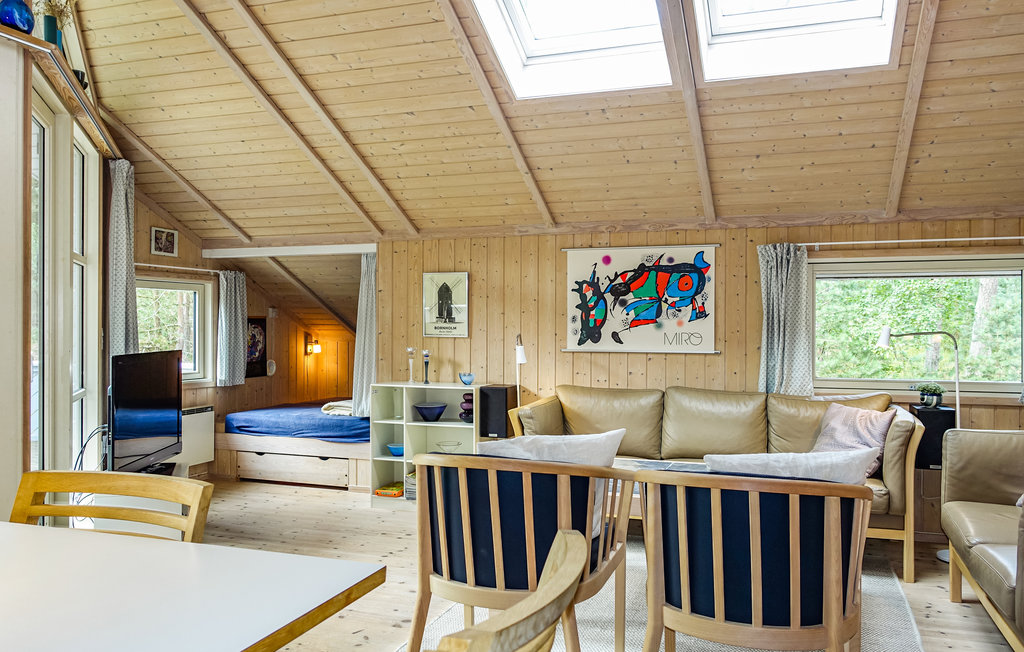 Ferienhaus - Dueodde , Dänemark - I62806 3