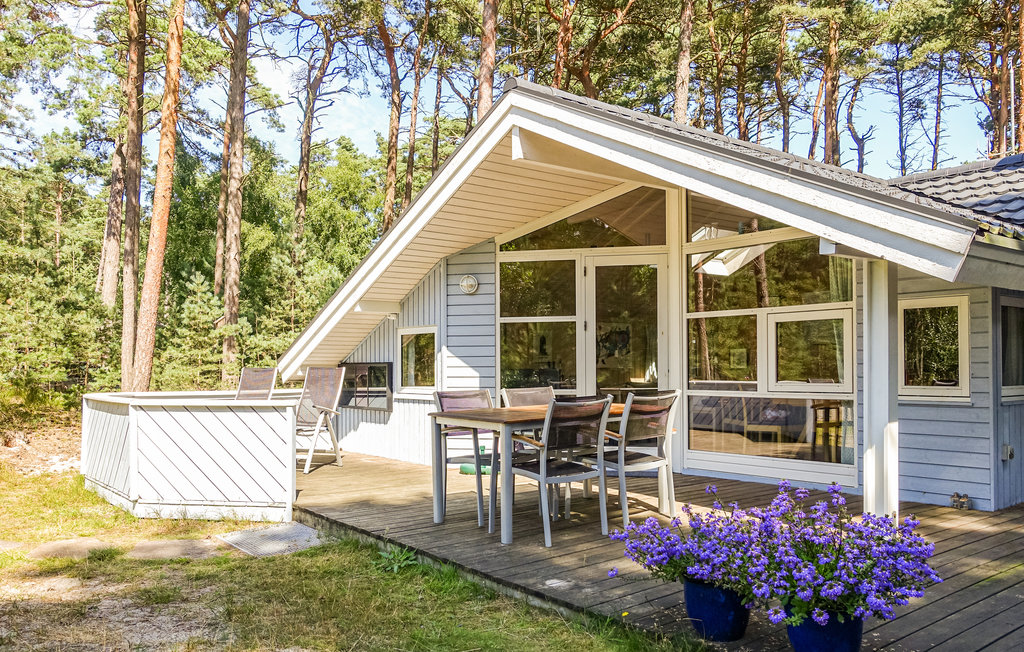 Ferienhaus - Dueodde , Dänemark - I62806 1