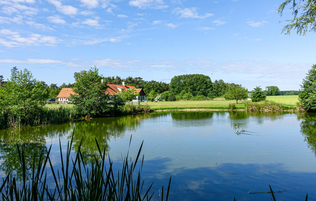 Ferieleilighet - Dueodde , Danmark - I62870 8