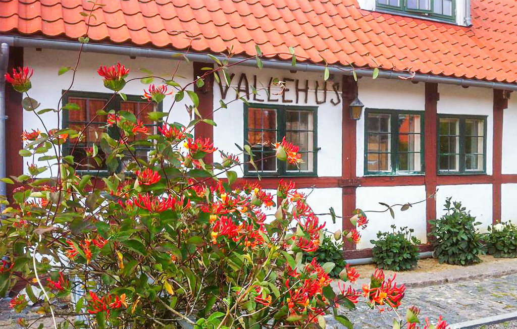 Ferieleilighet - Dueodde , Danmark - I62870 26