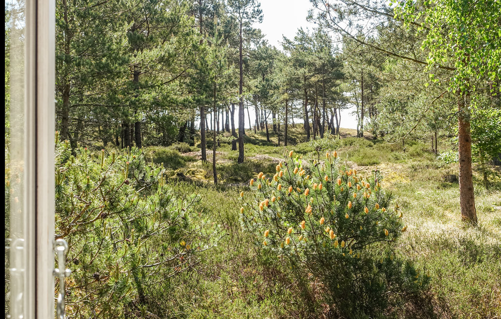 Ferienhaus - Dueodde , Dänemark - I62885 15