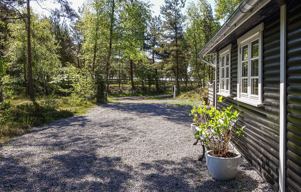 Feriehus - Dueodde , Danmark - I62855 20