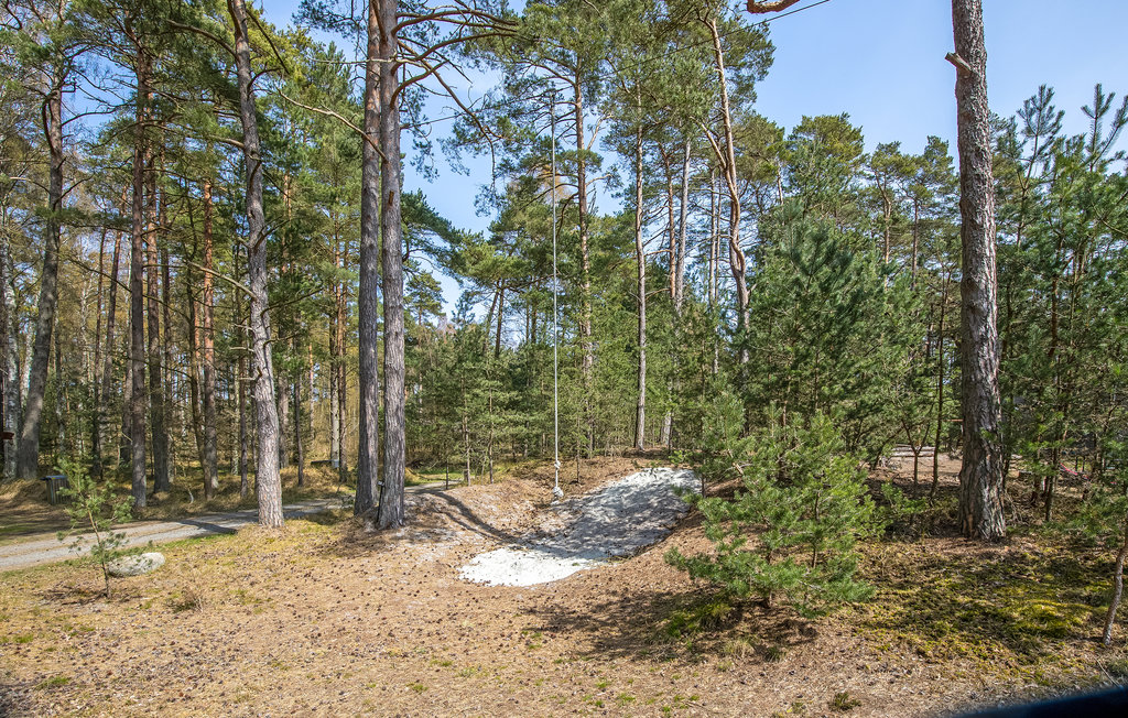 Ferienhaus - Dueodde , Dänemark - I62807 6