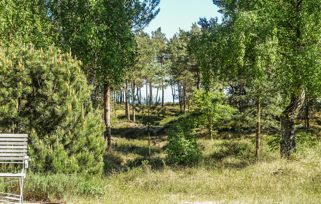 Ferienhaus - Dueodde , Dänemark - I62885 13