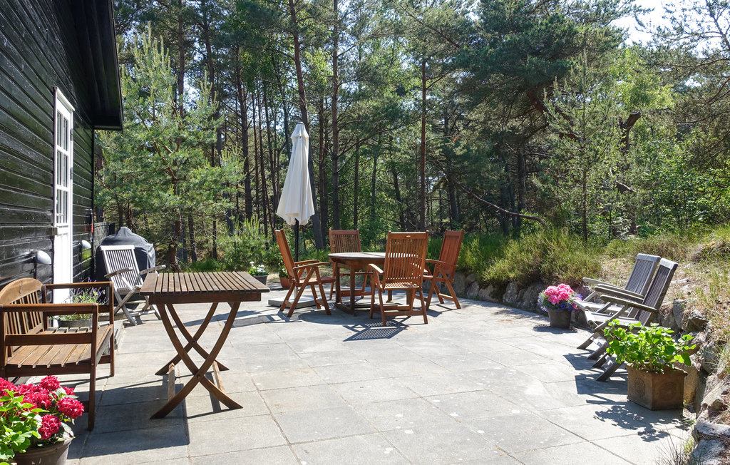 Feriehus - Dueodde , Danmark - I62876 14