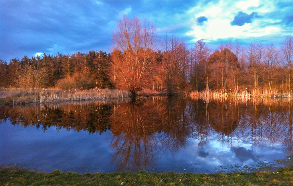 Ferieleilighet - Dueodde , Danmark - I62870 27