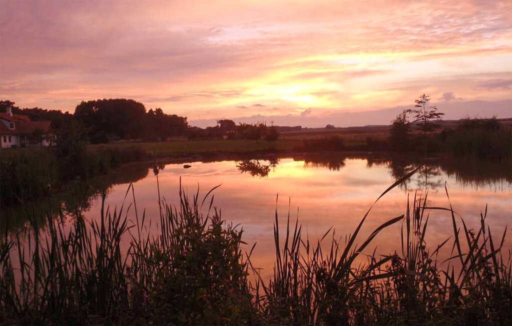 Ferieleilighet - Dueodde , Danmark - I62870 28
