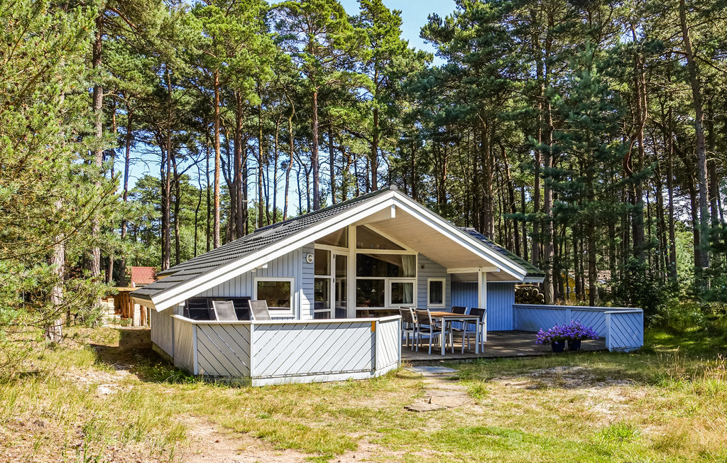 Ferienhaus - Dueodde , Dänemark - I62806 8