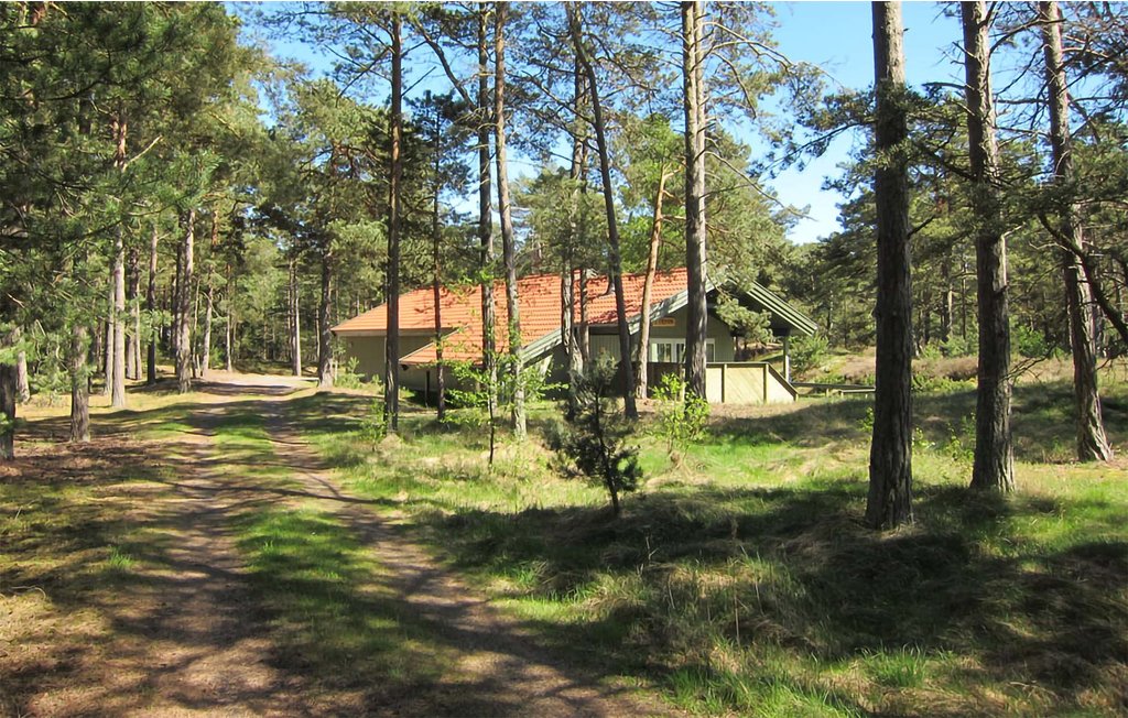 Feriehuse - Dueodde , Danmark - I62802 12