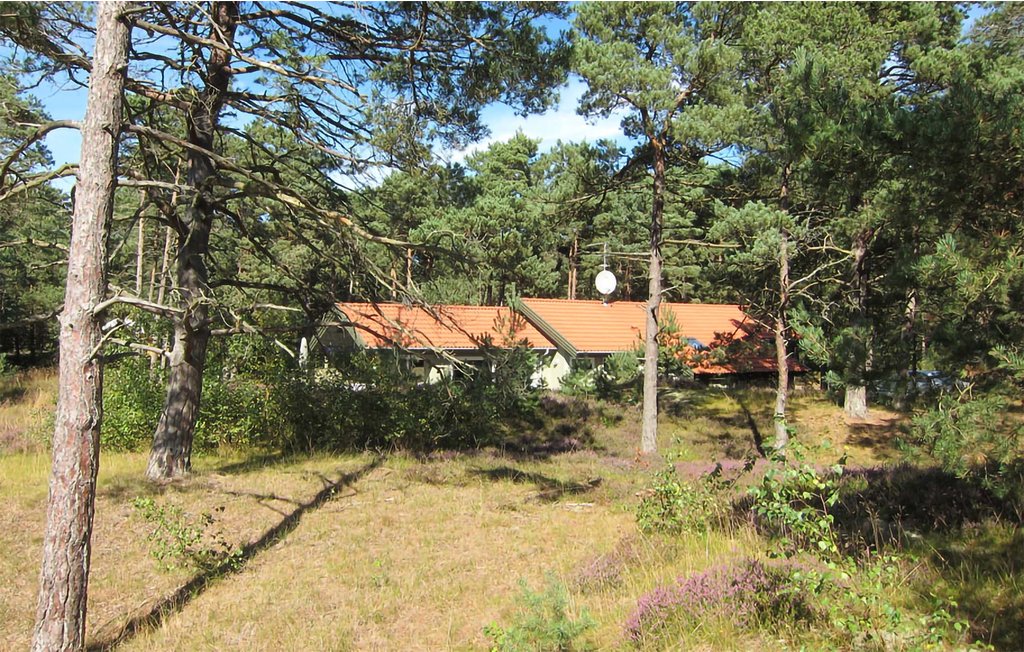 Feriehuse - Dueodde , Danmark - I62802 13