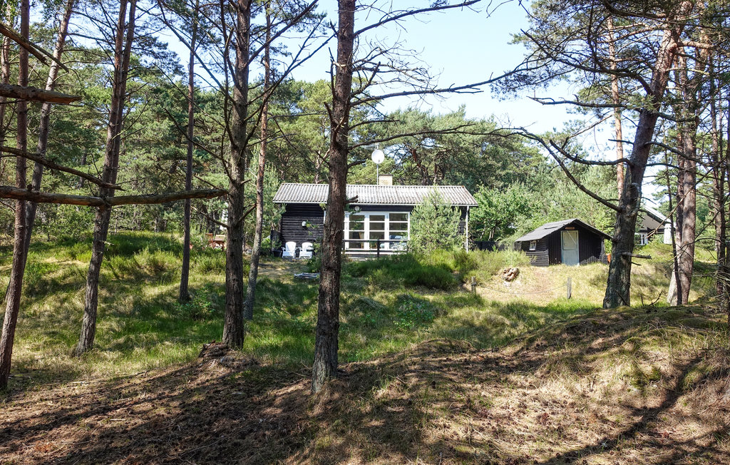 Feriehus - Dueodde , Danmark - I62876 13