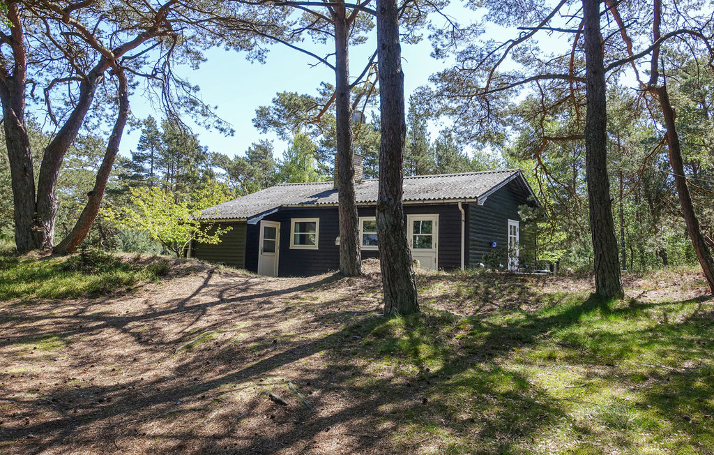 Feriehus - Dueodde , Danmark - I62876 1