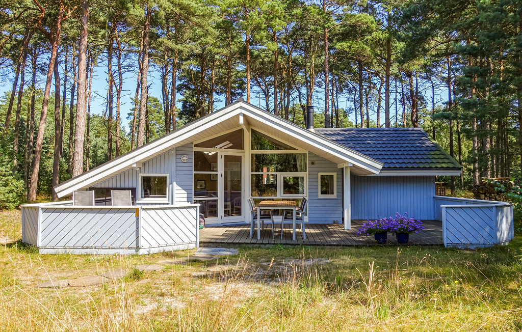 Ferienhaus - Dueodde , Dänemark - I62806 9