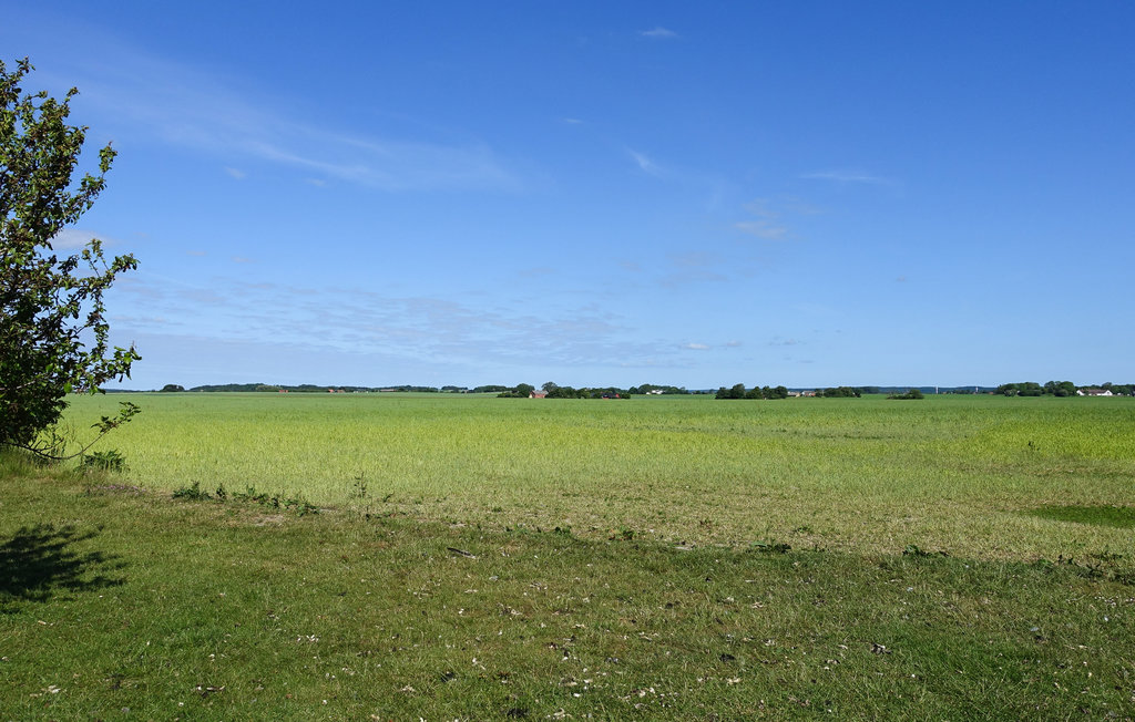 Ferieleilighet - Dueodde , Danmark - I62867 8