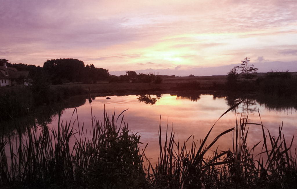Ferieleilighet - Dueodde , Danmark - I62867 17