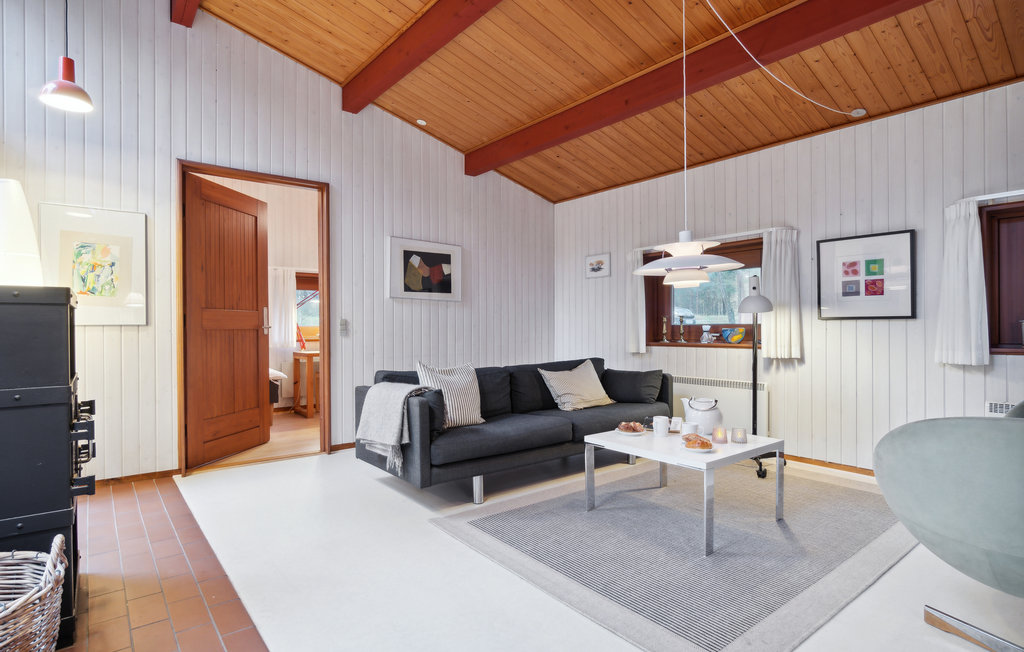 Ferienhaus - Dueodde , Dänemark - I62730 4