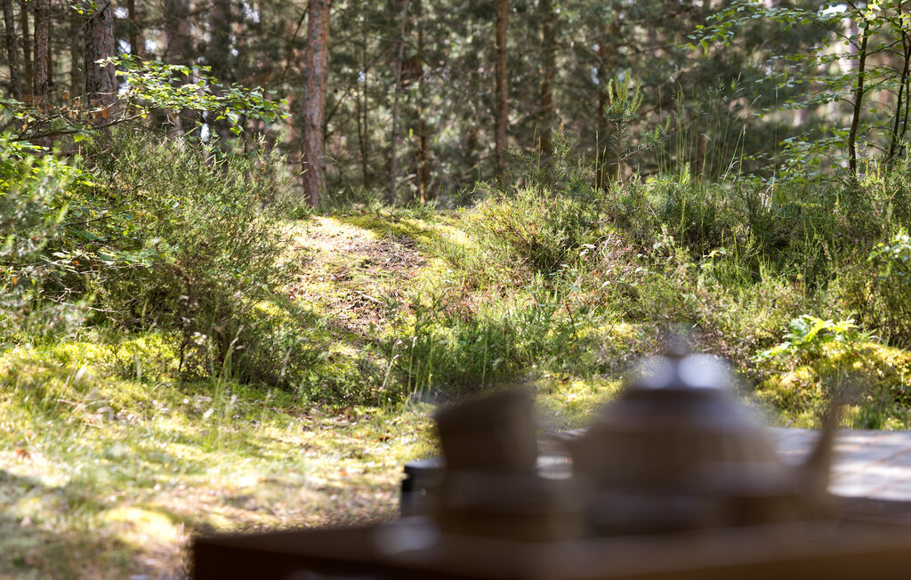 Ferienhaus - Dueodde , Dänemark - I62889 10